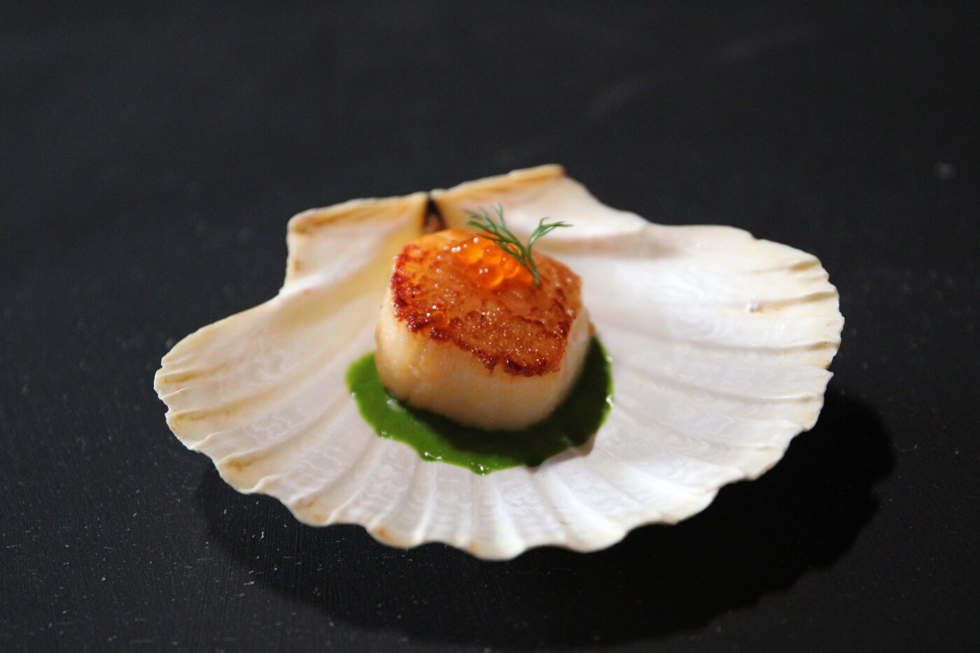 Hand-dived scallop